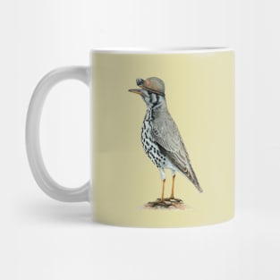 Groundscraper thrush Mug